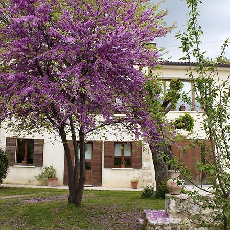 B&B Alte Paderno del Grappa Екстериор снимка