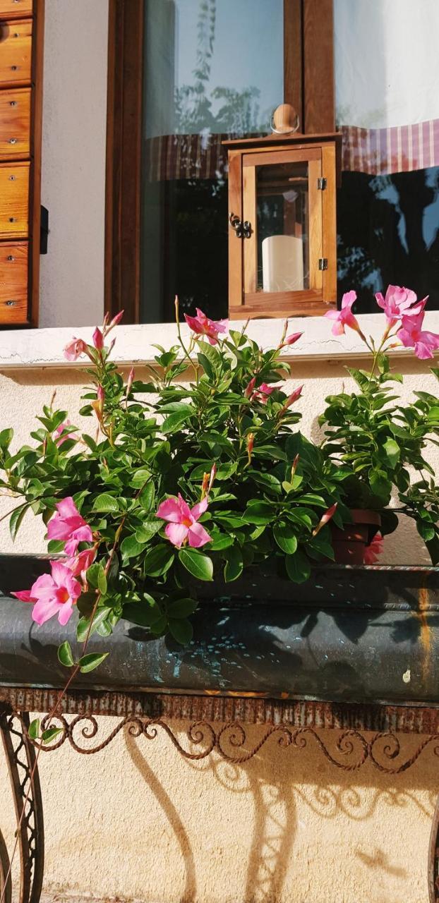 B&B Alte Paderno del Grappa Екстериор снимка